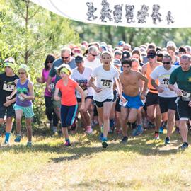 Learning at the E.O. Wilson Biophilia Center